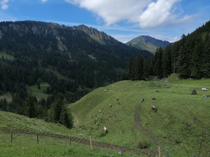 Fotografija s spletne strani luyyy na poti