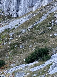 Foto da Wilhelm Böning lungo il tour