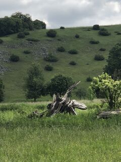 Photo de Johanna Arpagaus le long du parcours