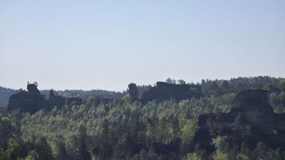 Photo de Yvonne Karcher le long du parcours