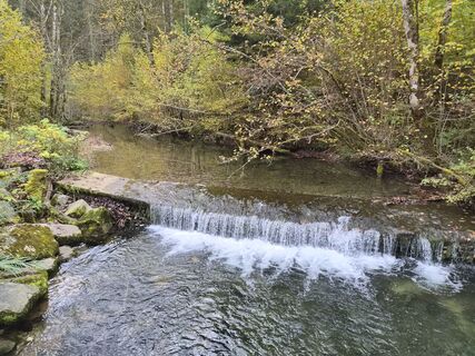 Photo de Kurt Weissenboeck le long du parcours