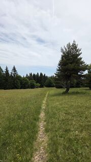 Foto von Klementina Gartner entlang der Tour