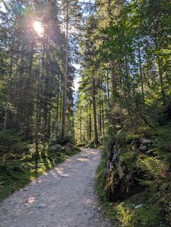 Foto von Florian Brunner 2 entlang der Tour