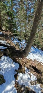 Foto von Gessi entlang der Tour