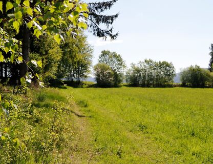 Weg-2
