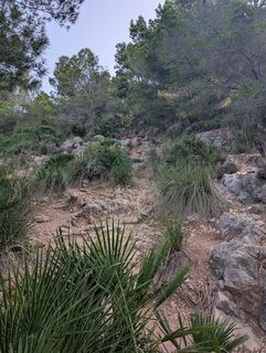 Photo de michael arnold 3 le long du parcours