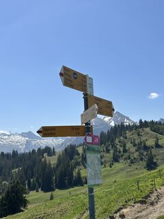 Fotografija s spletne strani Rolf Limacher na poti