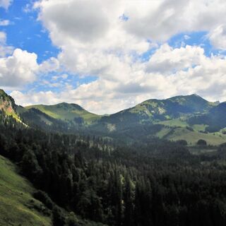 Blick von der Hinteralmstraße in Richtung Bodenalm und Waxenegg
