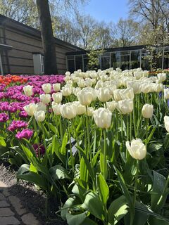 Fotografie de la Silvia Hollenstein de-a lungul turului