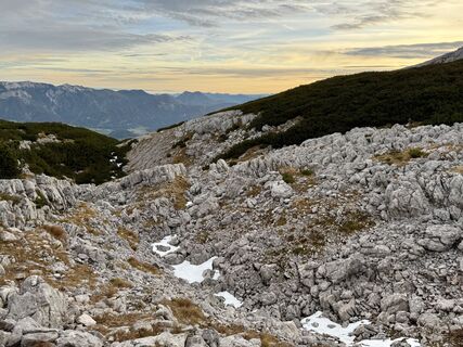 Foto von Natur_erleben_dg entlang der Tour