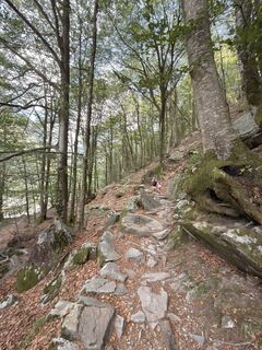Foto von Koen De Wit entlang der Tour