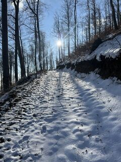 Foto de Ernest Dejanovic a lo largo del recorrido