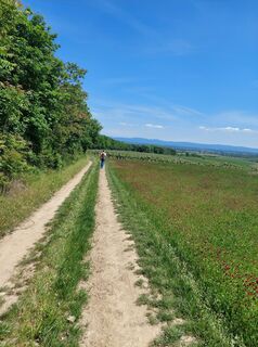 Photo de catherina le long du parcours