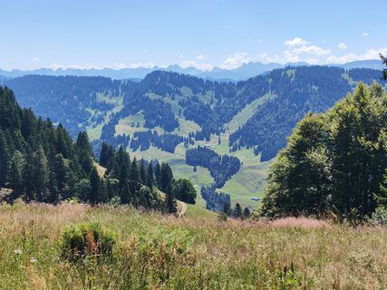 Photo de Gerhard Gössinger le long du parcours