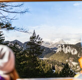 20-Schilling-Blick
