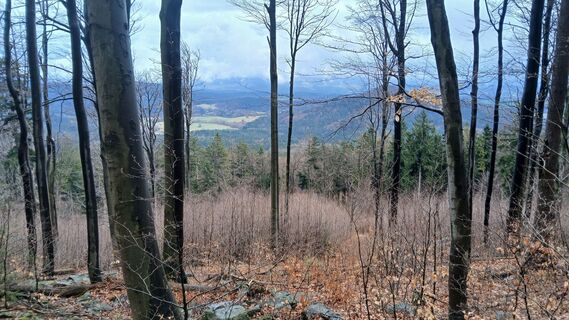 Foto von Fantom RoK entlang der Tour