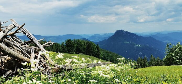 Zdjęcie z Klaus Lehner wzdłuż trasy