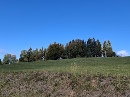 Foto von Erika Steinkellner entlang der Tour