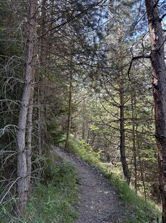 Foto de Moonytiger a lo largo del recorrido