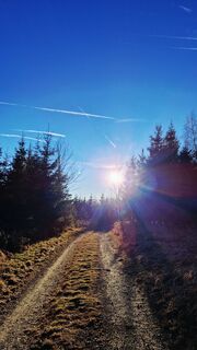 Zdjęcie z Elisabeth Rossa wzdłuż trasy