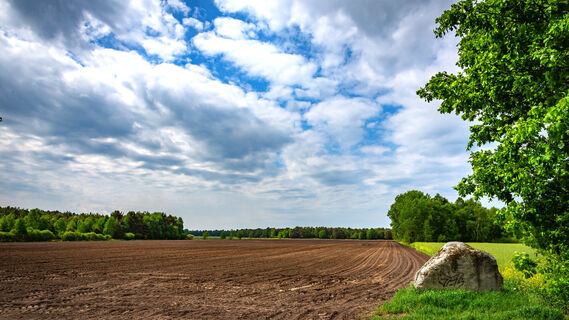 Blick auf die Felder im Lohmoor am NORDPFAD Kirchsteg-Moore-Bäche