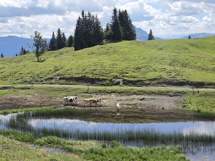 Foto von Gudrun Lippert entlang der Tour