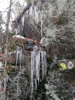 Foto von Dagmar Hofer entlang der Tour