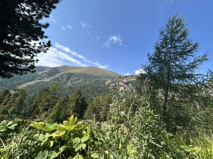 Foto von Anne Marijke Zwarts entlang der Tour