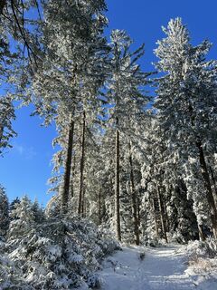 Fotografie z Felicitas Wellhäußer na trase