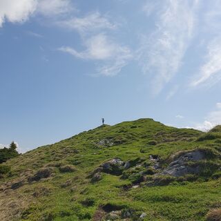 Fotografie z garrincha na trase