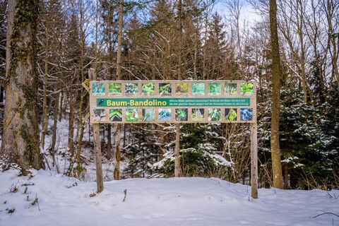 Winterwandern am Walderlebnisweg Gschaidt