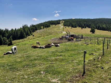 Photo de Walter Edelhofer le long du parcours