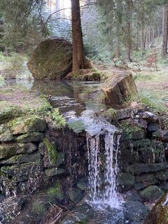 Photo de Enrico Till le long du parcours