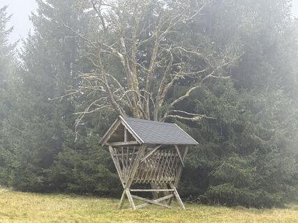 Photo de Norbert Herbig le long du parcours