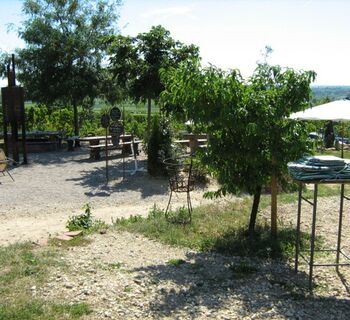 Freinsheim - Weinbergsgarten Picknickplatz