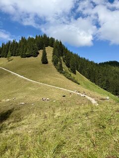 Foto von Barbara Schober entlang der Tour