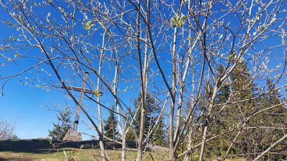 Foto von velisabeth entlang der Tour