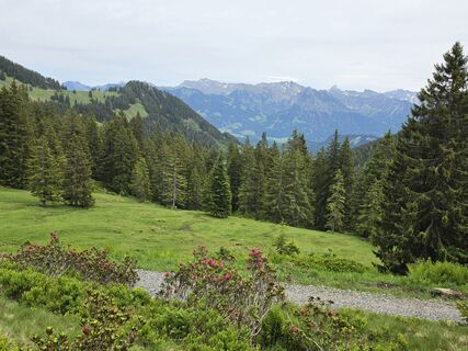 Fotografija s spletne strani Gudrun Lippert na poti