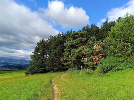 Foto de Žaneta Schelling a lo largo del recorrido