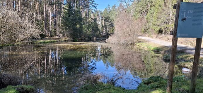 Foto von Christian Freythaler entlang der Tour