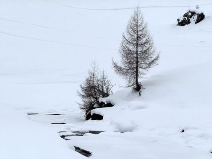 Foto fra Svensonalpin undervejs på turen