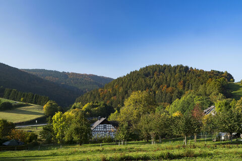 Herbstlandschaft in Willingen-Schwalefeld