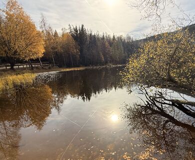 Photo de Natur_erleben_dg le long du parcours