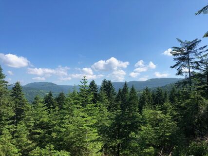 Ausblick