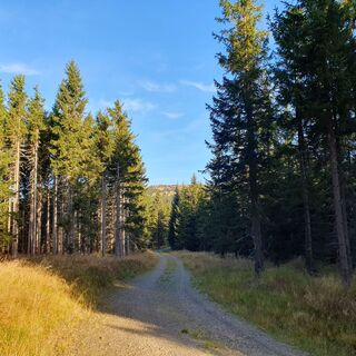 Weg, Festenburg_Oststeiermark