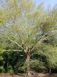 Fotografija s spletne strani Poschacher na poti