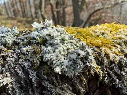 Photo de Norbert Herbig le long du parcours