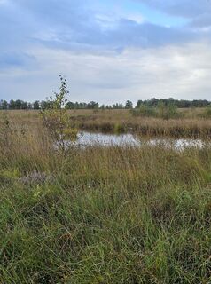 Foto von Angelika Gerung entlang der Tour