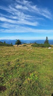 Zdjęcie z David Vogl wzdłuż trasy