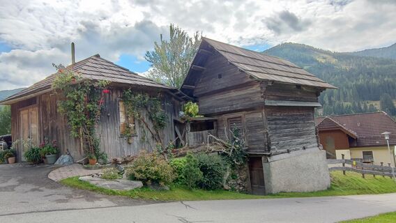 Fotografie z Elly23 na trase